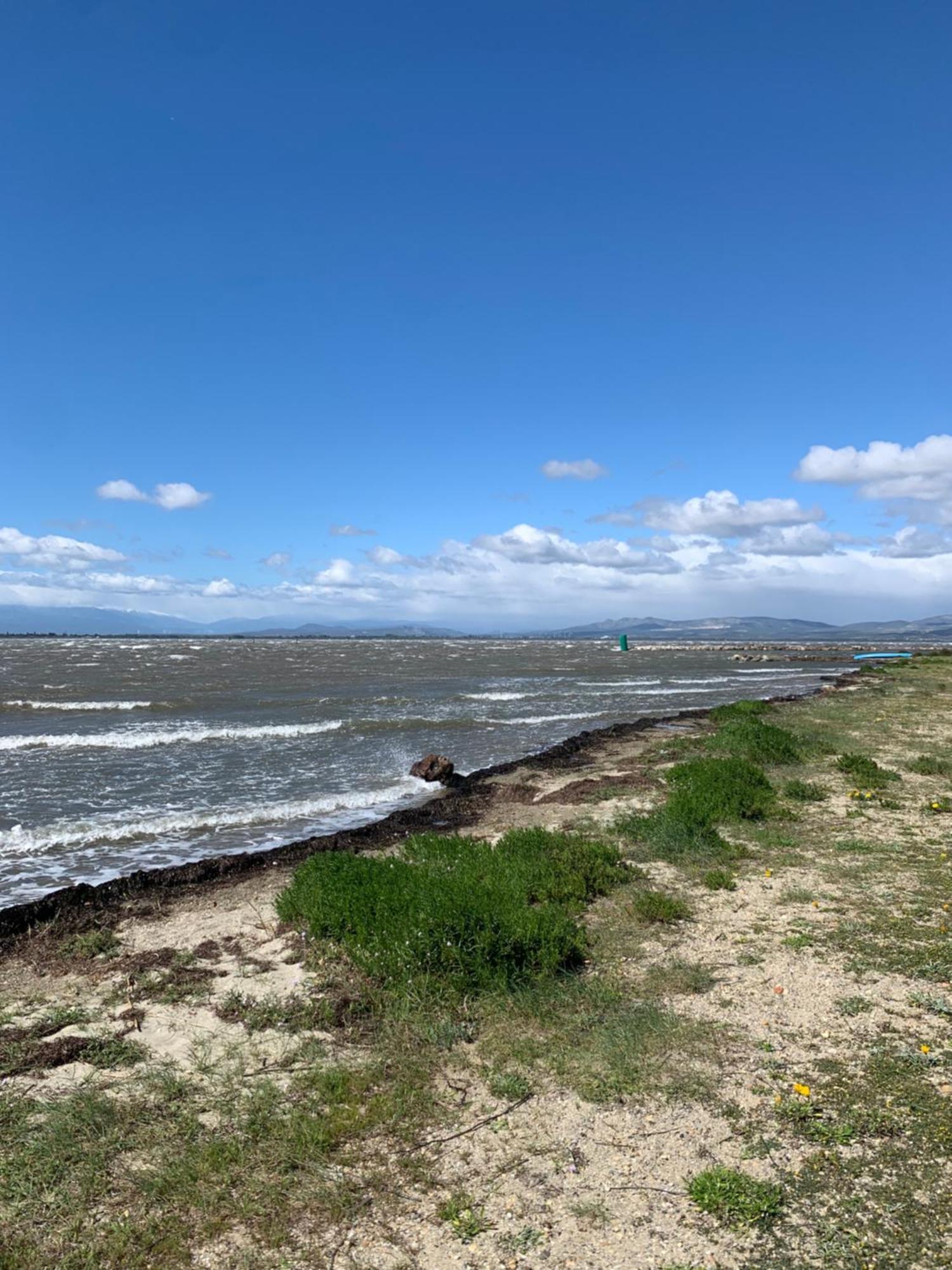 Vue Marin Et Canigou Le Barcares